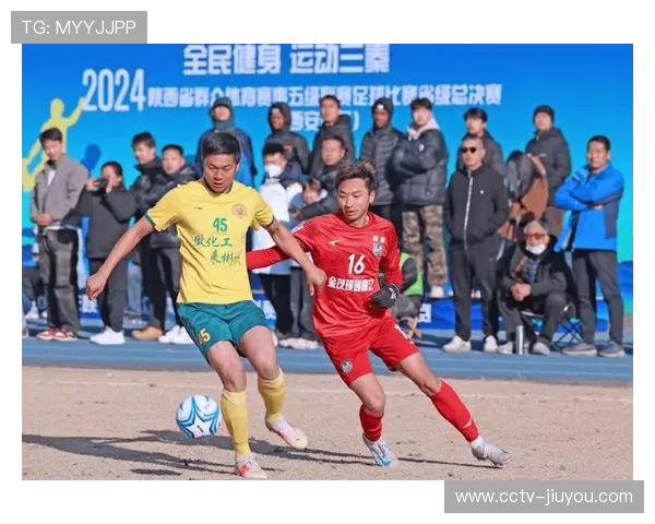 体育赛事体系优化，竞技与群众体育协调发展